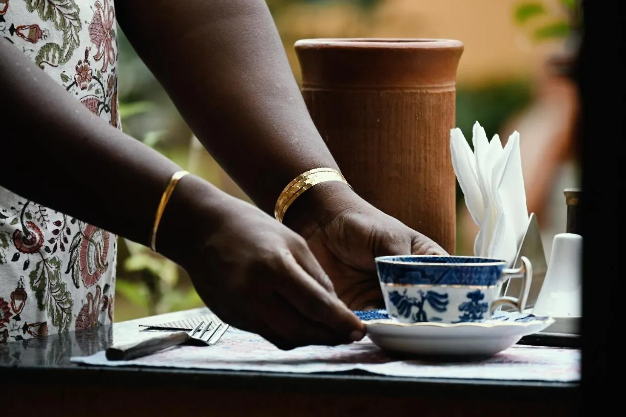Hotel Ameya Kerala Alappuzha Indien