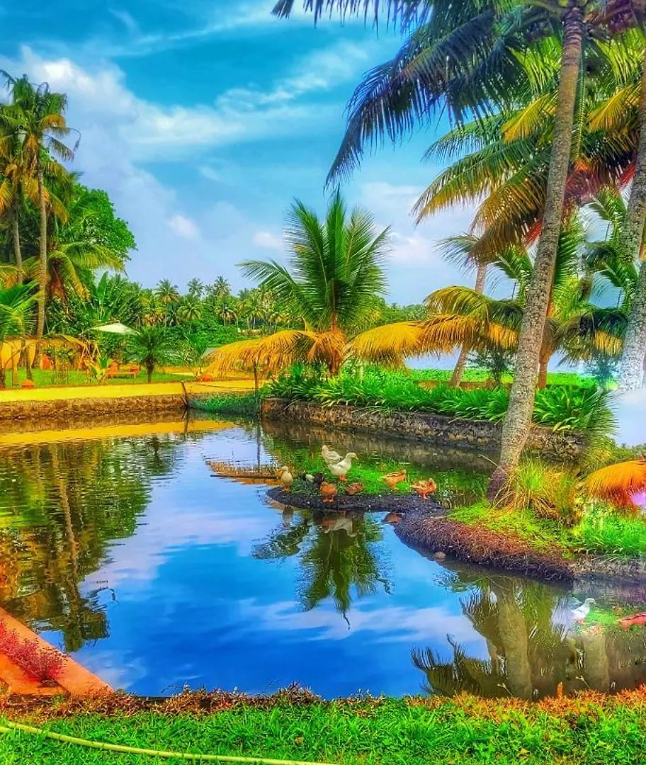 Ameya Kerala Hotel Alappuzha India